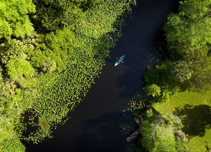 Visite du Parc National Blue Spring