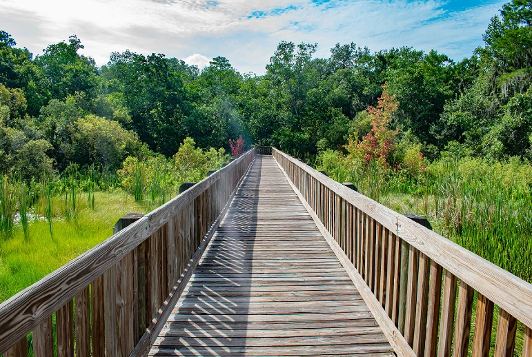 Promenade dans les Everglades